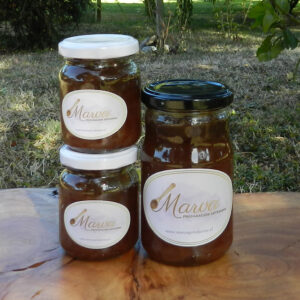 Cebolla morada en cuadros
